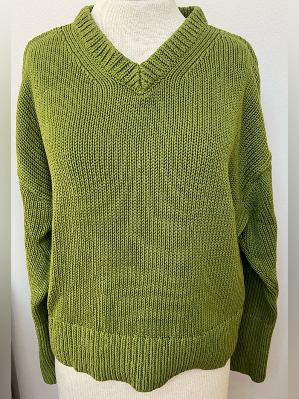 Banana Republic Chunky Knit Sweater Green V-Neck Cotton Pullover Size L
